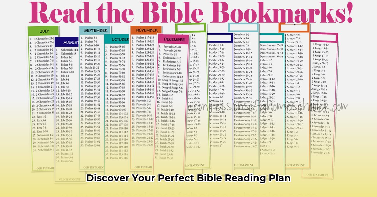 best-bible-reading-plan-order